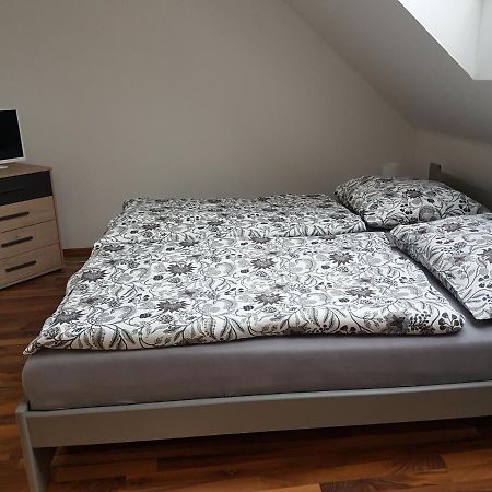 Apartmán V aleji Slavkov u Brna Kültér fotó